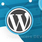 WordPress Developer